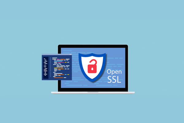 OpenSSL The Backbone of Secure Communications on the Internet